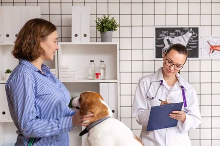 Reception at the vet. The woman is the owner and her dog is in the veterinary clinic. Communication with the doctor.の写真素材
