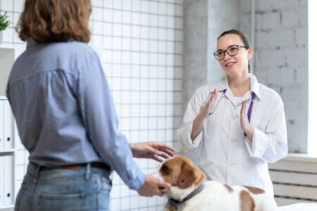 The veterinarian and the client with the dog to discuss the treatment in a veterinary clinic.の写真素材