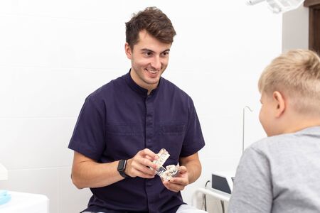 Charming dentist talking with blond little boy holding plastic model of jawの写真素材