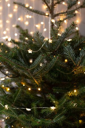 Christmas tree covered in lights on background of shiny garland on gray wallの写真素材
