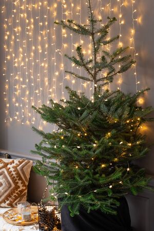 Christmas tree covered in lights on background of shiny garland on gray wallの写真素材