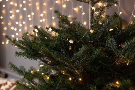Closeup of garland hanging on branches of Christmas tree. Selective focusの写真素材
