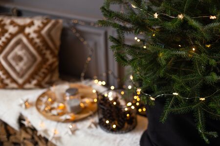 Closeup of Christmass tree branches with tray and bench on background. Selective focusの写真素材