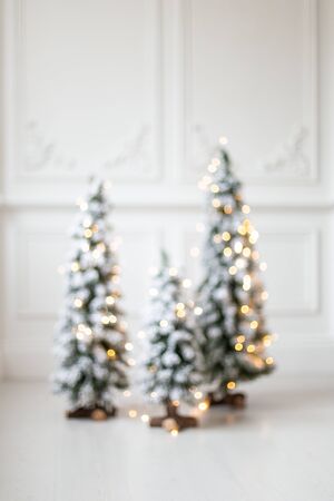 Blured photo of firs wrapped in shining garland standing in middle of roomの写真素材