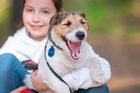Little girl hugging her dog. Owner is walking with his pet in the parkの写真素材