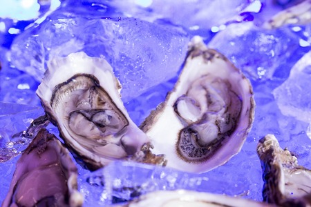 two oysters served on iceの写真素材