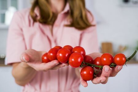 A large branch of red cherry tomato in the hands of a girlの写真素材
