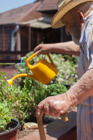 elderly man watering flowers with focus on his handの写真素材