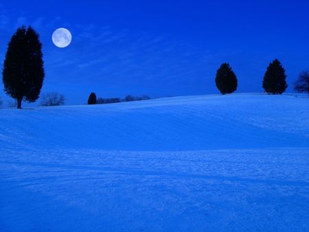 View of a snow covered field at night in winter with moon.                   の写真素材
