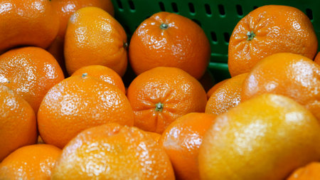 Many beautiful tangerines in a trading basketの写真素材