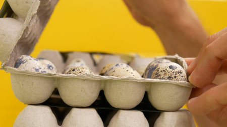 Close-up of a carton packaging of quail eggs and a male hands open it to check the eggs quality