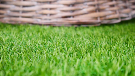 Close-up of beautiful green grass and a wicker basket blurred in the distanceの写真素材