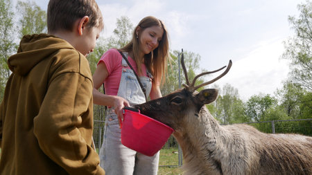 A young woman and a boy feeding a deer from the red bowlの写真素材