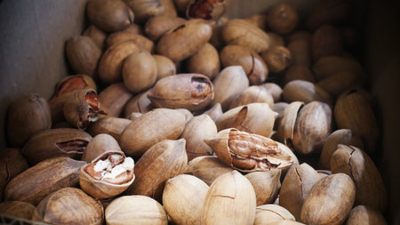 Close-up of many nice pecans in shell