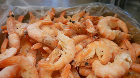 Close-up of many frozen shrimpの写真素材