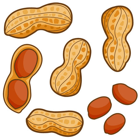 Peanutsのイラスト素材