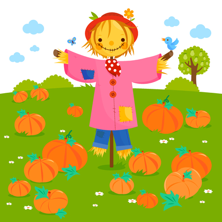 Rural landscape with pumpkin field and a scarecrow. Vector illustrationのイラスト素材