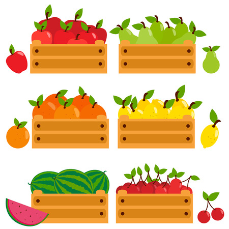 Fruits in wooden crates, apples, pears, lemons, cherries, oranges and watermelons.のイラスト素材