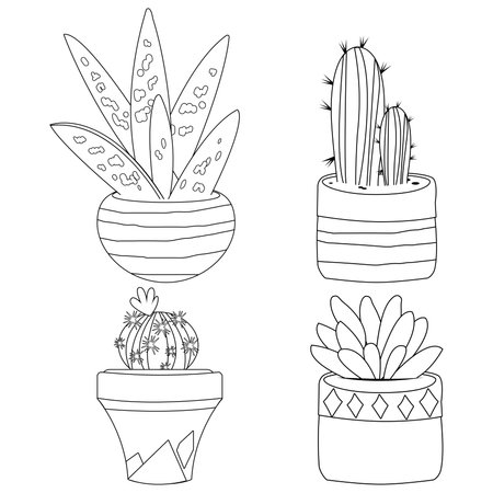 Cactus and succulent plants in pots. Vector black and white coloring page.のイラスト素材
