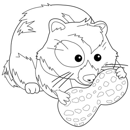 Hamster with peanut. Vector black and white coloring pageのイラスト素材