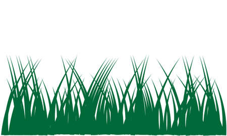 Green grass with copy space vector illustrationのイラスト素材