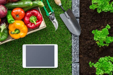 Digital tablet and gardening tools on the grass: farming app and technology conceptの写真素材