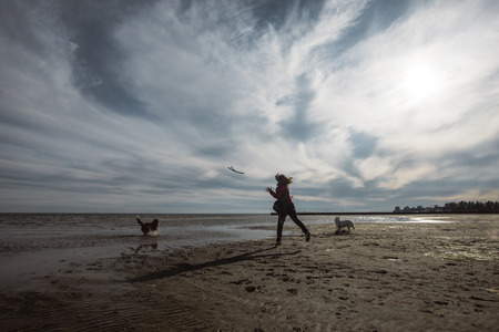 A girl plays with her dogs on the beach on a cold October day.の写真素材