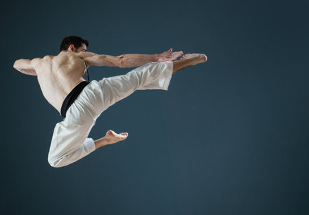 A Sensei karateka instructor performs a perfect flying kickの写真素材