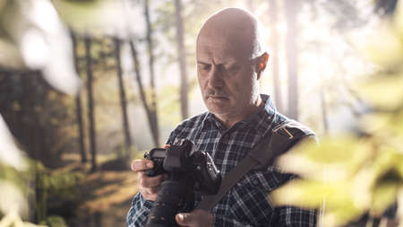 Professional wildlife photographer exploring a forest, he is checking the camera settings