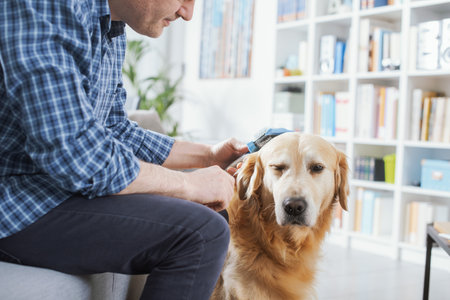 Man taking care of his dog at home, he is brushing his furの写真素材