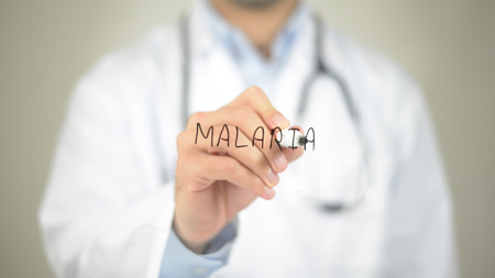 Malaria, Doctor writing on transparent screenの写真素材