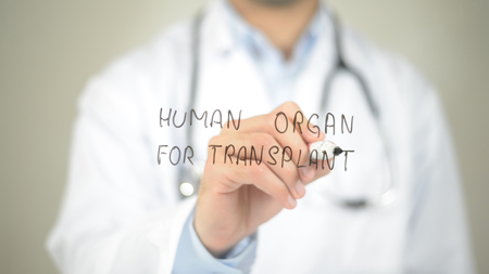 Human Organ For Transplant , Doctor writing on transparent screenの写真素材