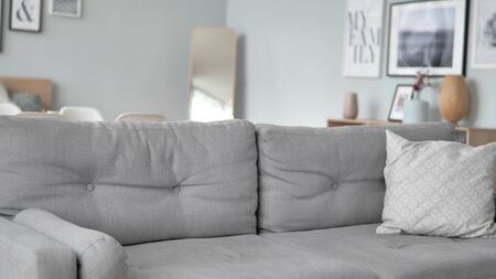 Empty Room with Grey Sofa and Pictures on Wallの写真素材