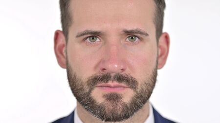 Close up of Serious Face of Beard Man Looking at the Camera, White Background