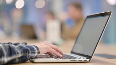 Female Hands Typing on Laptop, Close upの写真素材