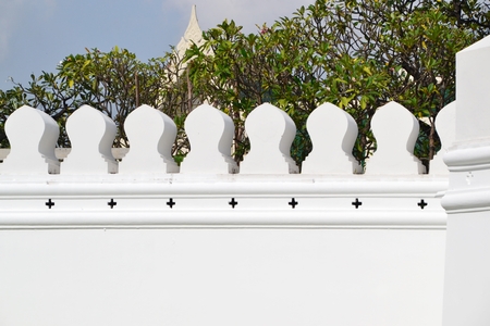 Closed up the white wall, trees, skyの写真素材