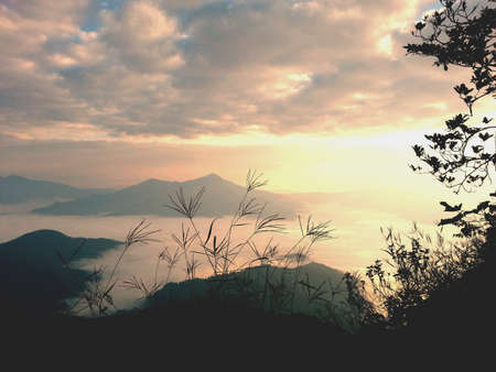 Fog on mountain