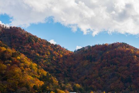 Beautiful colorful trees on mountain with blue sky in autumn season.の写真素材