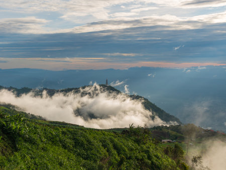 Fog at mountain forest in the morning.の写真素材
