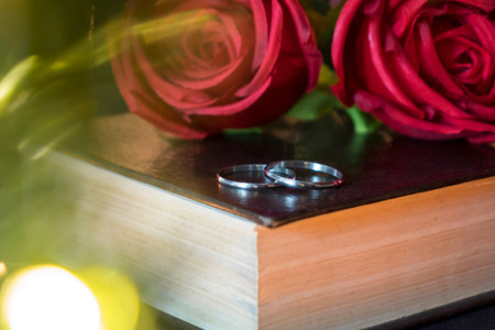 Wedding rings and rose on book with bokeh lights in foreground.