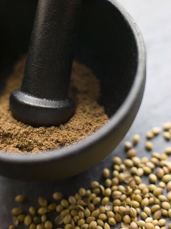 Coriander Powder in a Pestle and Mortar with Coriander Seedsの写真素材