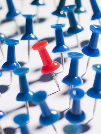 One Red Thumbtack Amid Blue Thumbtacksの写真素材