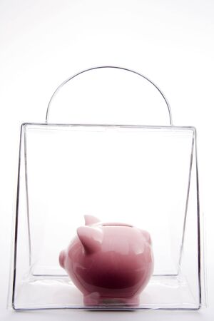 Piggy Bank In A Bagの写真素材