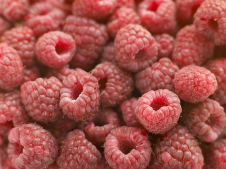 Fresh raspberries