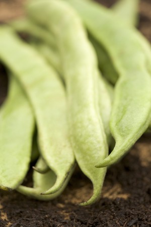 Runner beans