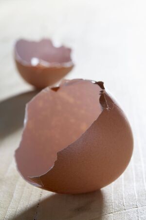 Broken Egg Shell