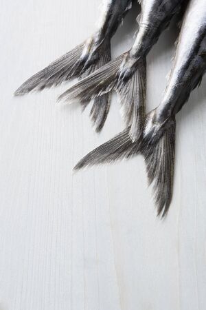 Fresh Fish On Benchの写真素材