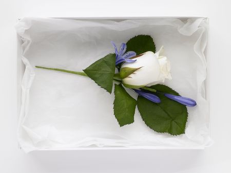White Rose Corsage