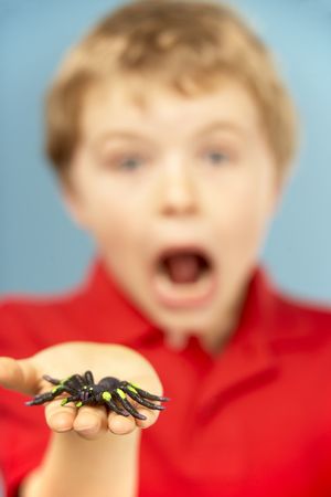 Young Boy Holding Plastic Spider