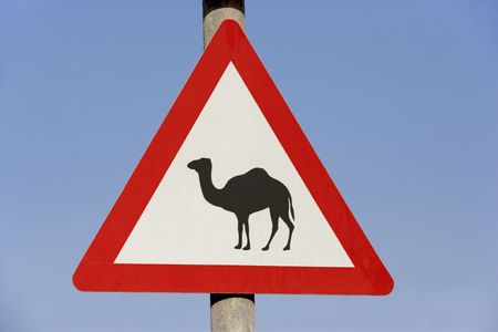 Beware Of Camel Sign In Dubaiの写真素材